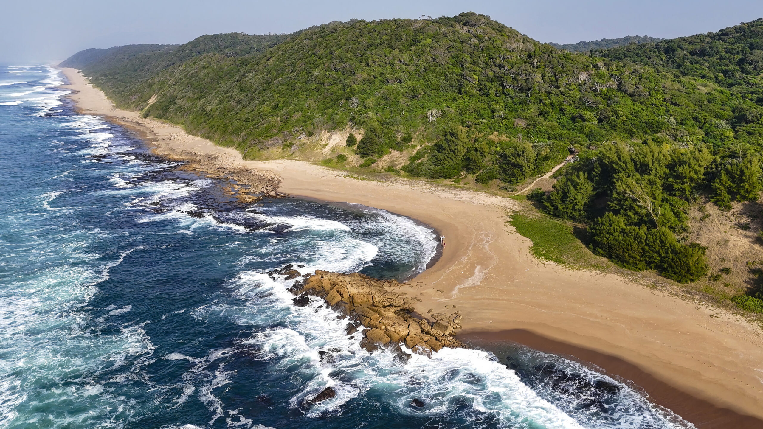 aerial photo of sea next to beach