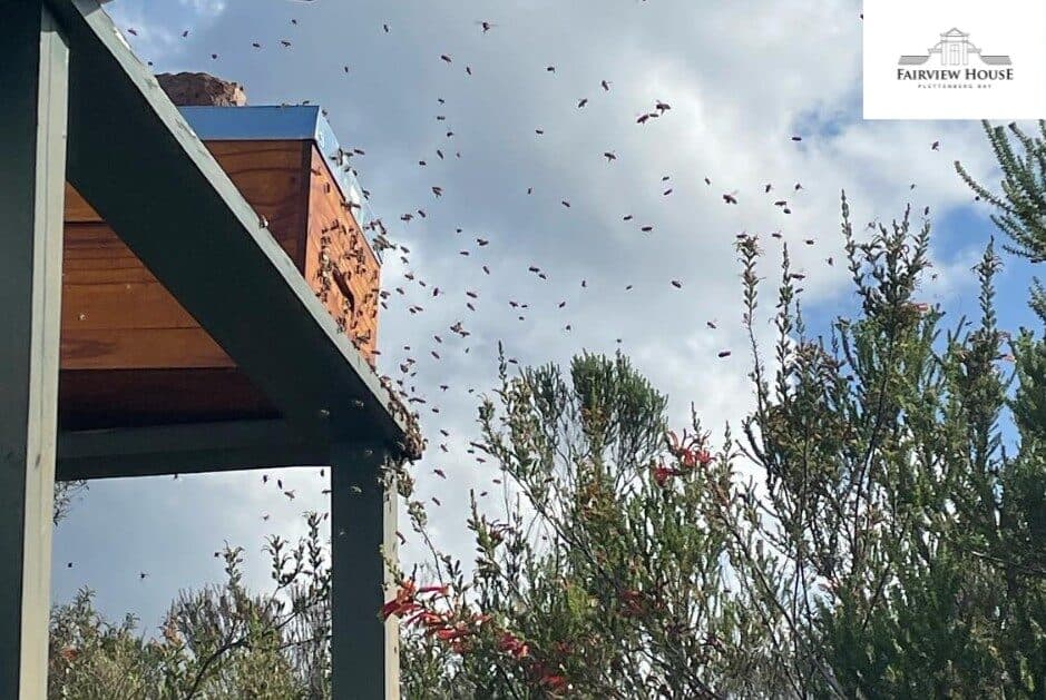 beehive in fairview house