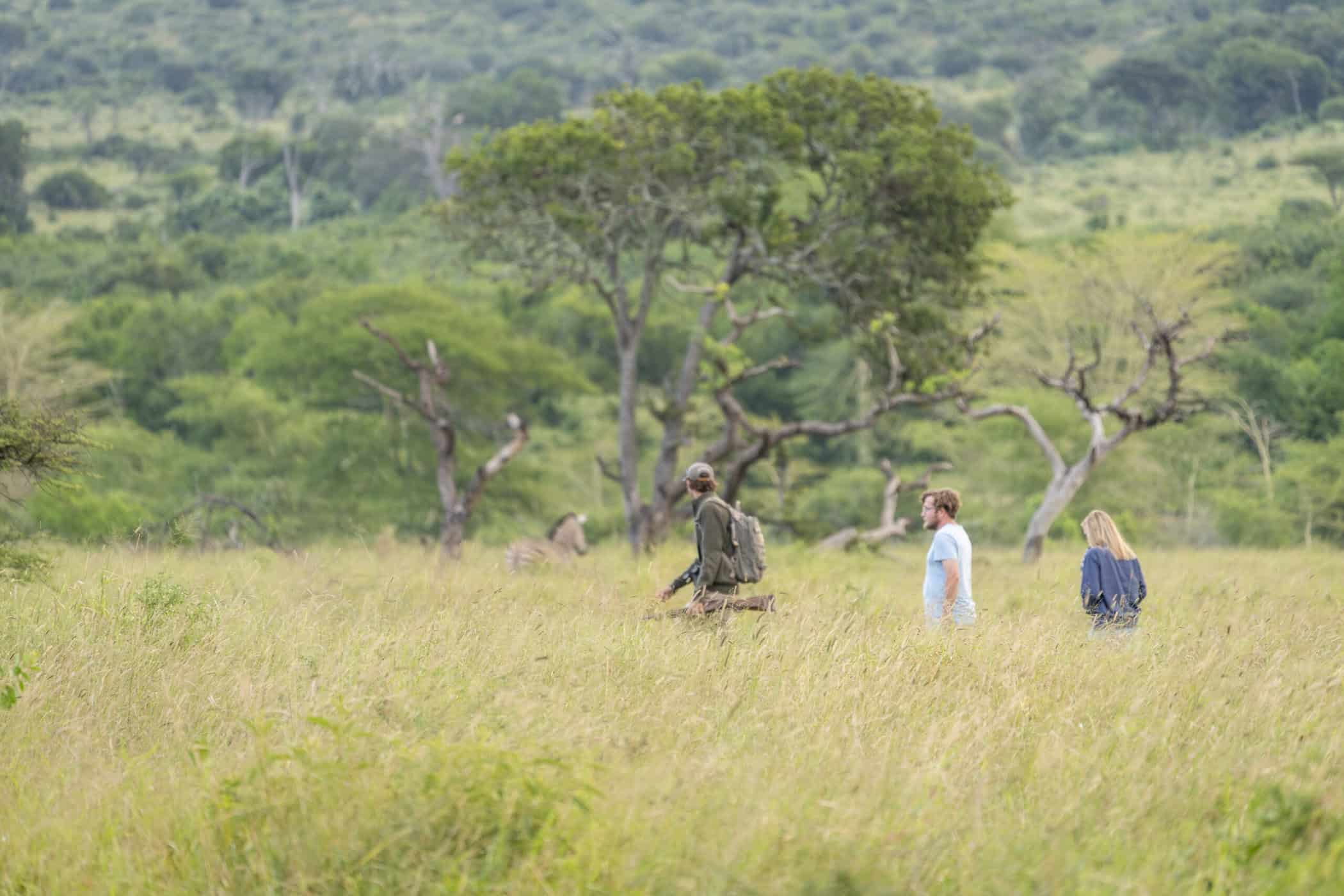 guide leading guests on nature walk