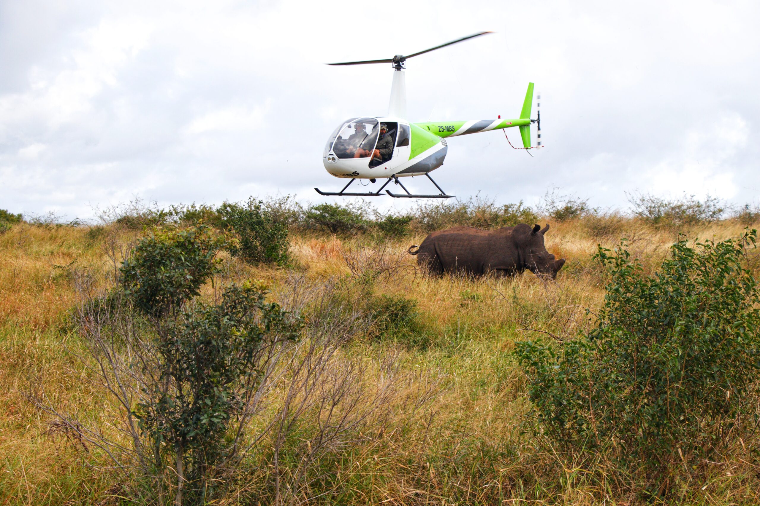 rhino standing below helicopter