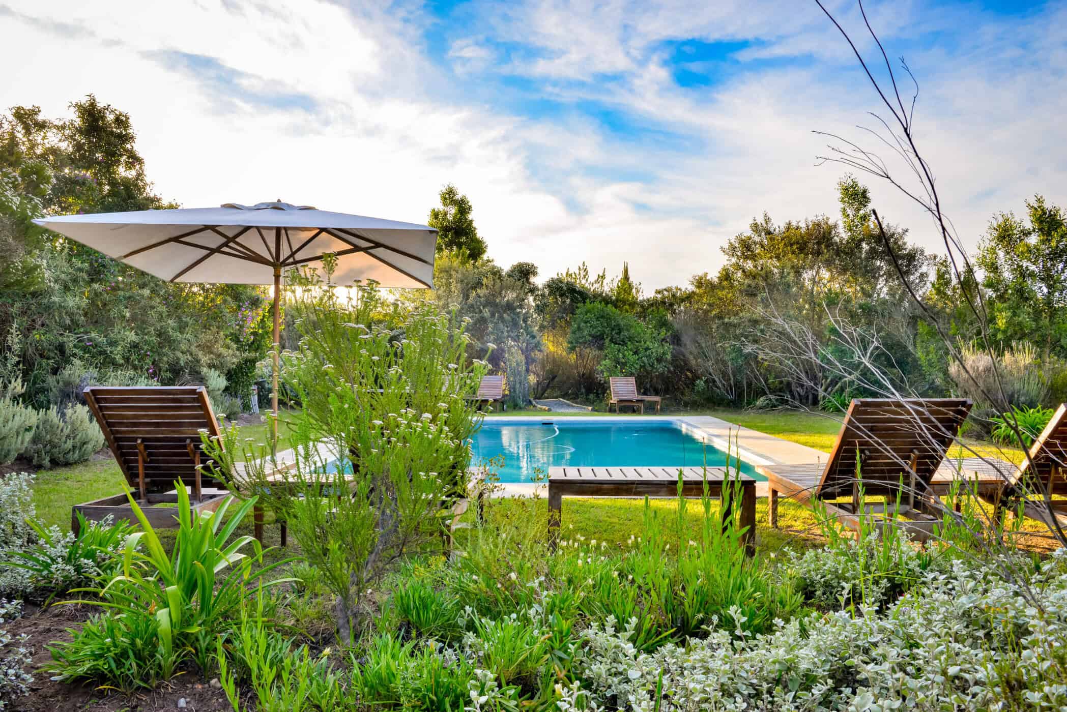 pool surrounded by garden