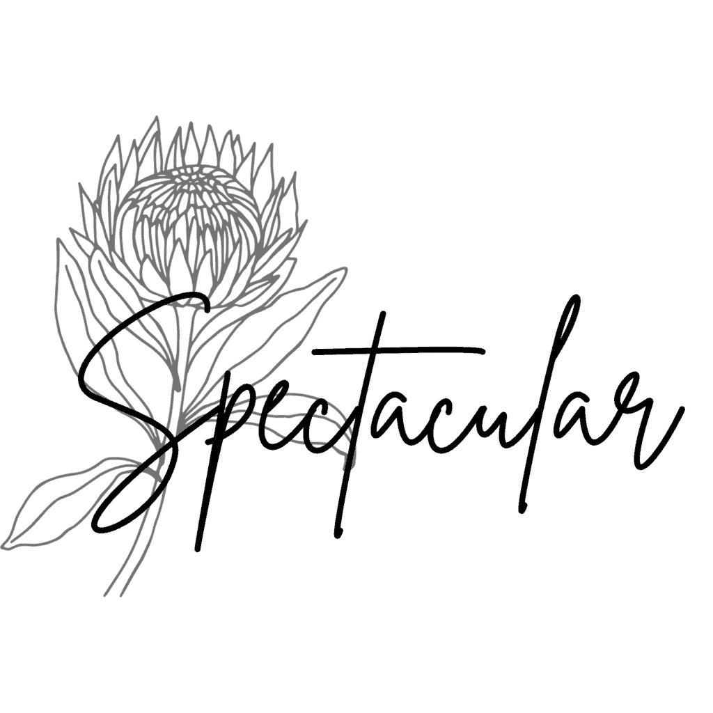 "spectacular" written in cursive