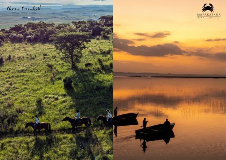 Horseback Riding, Solar Powered Boats