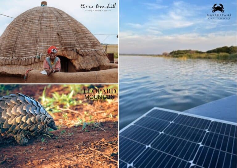 Sustainability Initiatives, Pangolin, Solar Boat, Culture.