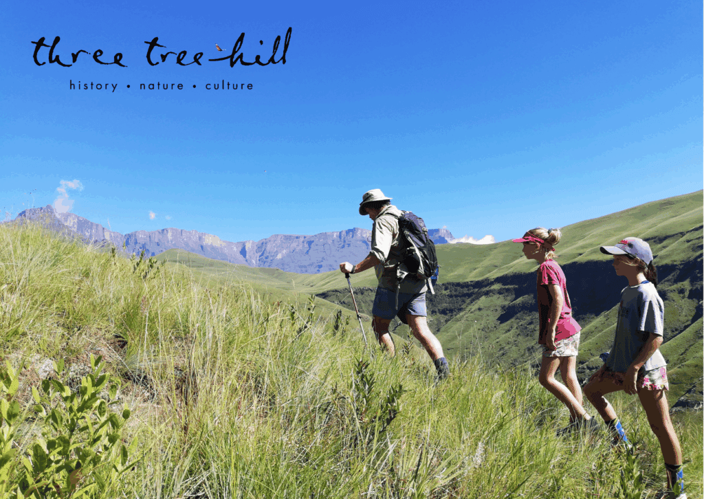 Family Hiking the Drakensberg Mountain - Three Tree Hill
