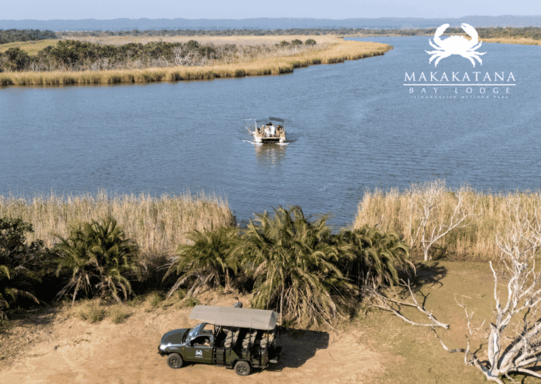 Boat Safari on Lake St Lucia